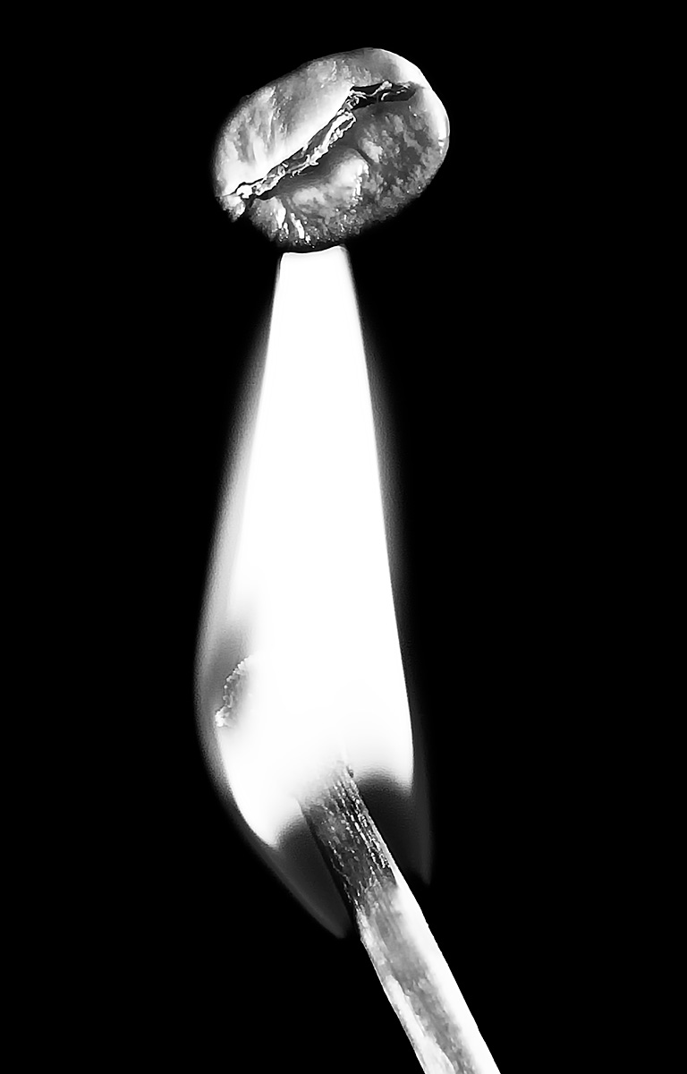 The Roast - Fine Art Work Page Image 08